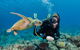 Silverswift Outer Great Barrier Reef Dive And Snorkel Cruise From Cairns - thumb 2