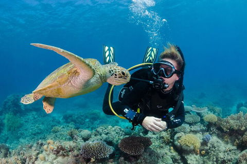 Silverswift Outer Great Barrier Reef Dive And Snorkel Cruise From Cairns - Accommodation Bookings 2