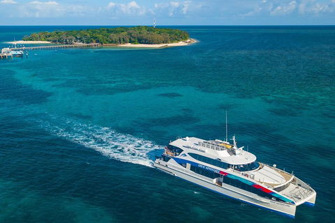 Green Island Day Trip Including Seawalker Helmet Dive COMBO - Accommodation Bookings 2