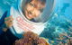 Green Island Day Trip Including Seawalker Helmet Dive COMBO - thumb 4