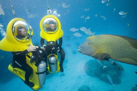 Great Barrier Reef Adventure From Cairns - Accommodation Bookings 2