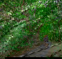 Green Island Eco Adventure from Cairns - Accommodation Bookings