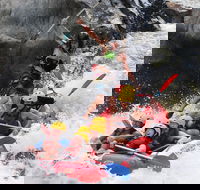 Barron Gorge National Park Half-Day White Water Rafting from Cairns or Port Douglas - Accommodation Bookings