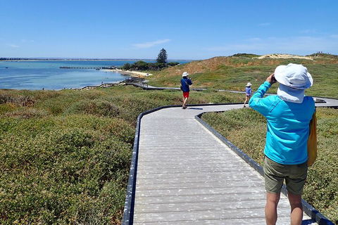 Penguin And Seal Islands Sea Kayaking Experience - Accommodation Bookings 1