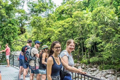 Cape Tribulation, Mossman Gorge, And Daintree Rainforest Day Trip From Cairns Or Port Douglas - Accommodation Bookings 0