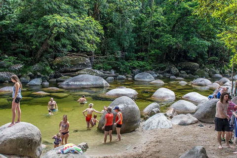 Cape Tribulation, Mossman Gorge, And Daintree Rainforest Day Trip From Cairns Or Port Douglas - Accommodation Bookings 1