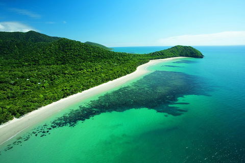 Cape Tribulation, Mossman Gorge, And Daintree Rainforest Day Trip From Cairns Or Port Douglas - Accommodation Bookings 2