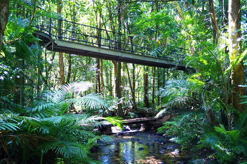Cape Tribulation, Mossman Gorge, And Daintree Rainforest Day Trip From Cairns Or Port Douglas - Accommodation Bookings 3