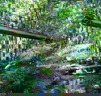 Double Pack-Ancient Rainforest and Waterfalls - Accommodation Bookings