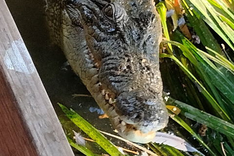 Litchfield Park Adventures And Jumping Crocodile Cruise + Butterfly Farm - Accommodation Bookings 1