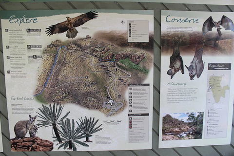 Jumping Crocodile Cruise And Berry Springs Nature Park - Accommodation Bookings 2