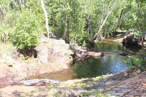 Jumping Crocodile Cruise And Berry Springs Nature Park - Accommodation Bookings 3