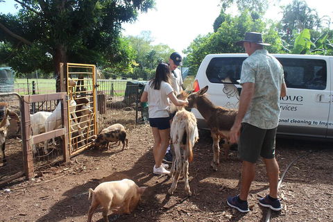 Jumping Crocodile Cruise And Berry Springs Nature Park - Accommodation Bookings 4