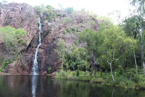 Jumping Crocodile Cruise And Berry Springs Nature Park - Accommodation Bookings 5