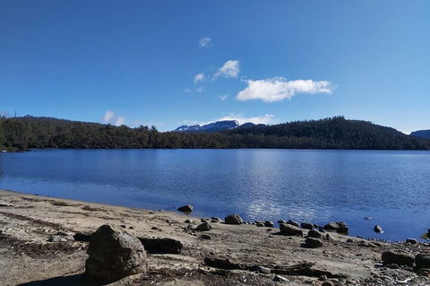 6-Day Hearty Tasmania Tour (Tasmania In A Circle) - Accommodation Bookings 1