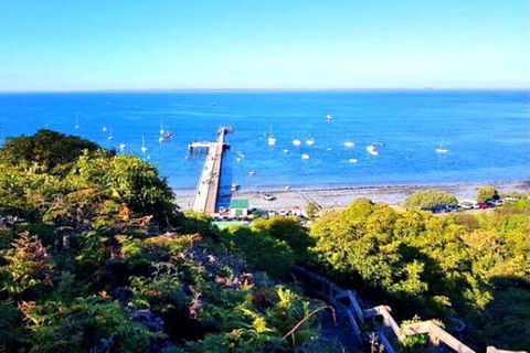 Mornington Peninsula Sightseeing Tour For 2-6 Guests. - Accommodation Bookings 1