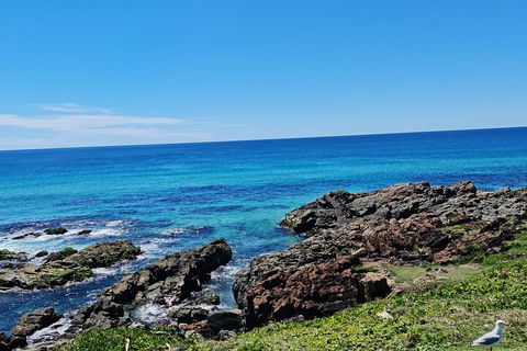 Private Custom Byron Bay Day Out - Accommodation Bookings 4