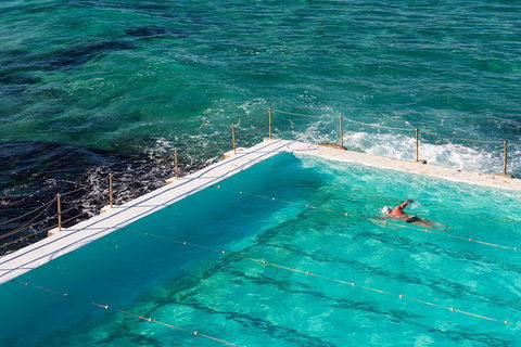 Small Group Essential Sydney Tour Including Lunch - Accommodation Bookings 5