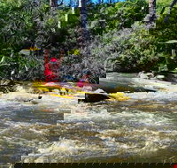 Yarra River Half-Day Rafting Experience - Accommodation Bookings