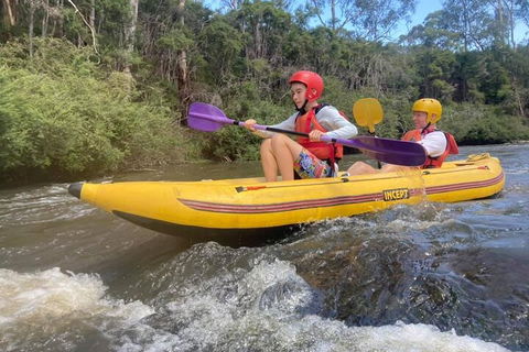 Yarra River Half-Day Rafting Experience - Accommodation Bookings 1