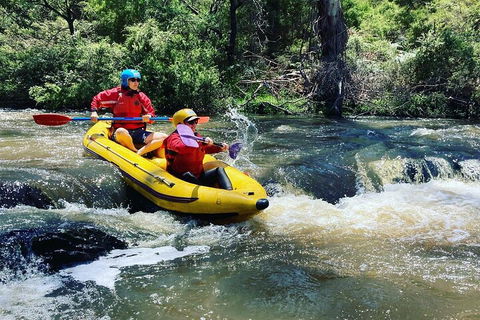 Yarra River Half-Day Rafting Experience - Accommodation Bookings 4