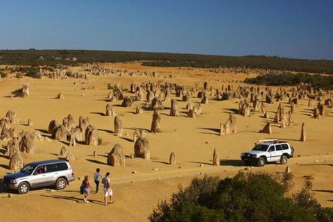 1-Day Pinnacles And Yanchep Tour From Perth Including Fish And Chips Lunch - Accommodation Bookings 0