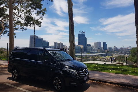 1-Day Pinnacles And Yanchep Tour From Perth Including Fish And Chips Lunch - Accommodation Bookings 1
