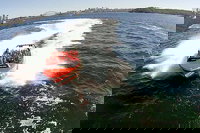 Book Viator Accommodation Vacations Accommodation Bookings Accommodation Bookings