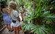 2 Day Daintree Rainforest, Cape Tribulation And Outback Chillagoe Tour - thumb 2