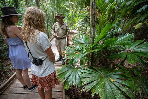 2 Day Daintree Rainforest, Cape Tribulation And Outback Chillagoe Tour - Accommodation Bookings 2