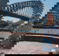Sydney Private Tours by Locals 100 Personalized See the City Unscripted - Accommodation Bookings