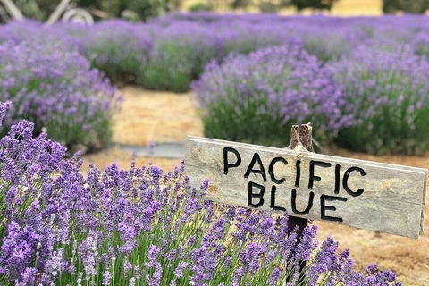 Kangaroo Island Food And Wine Hop-on Hop-off Tour - Accommodation Bookings 4