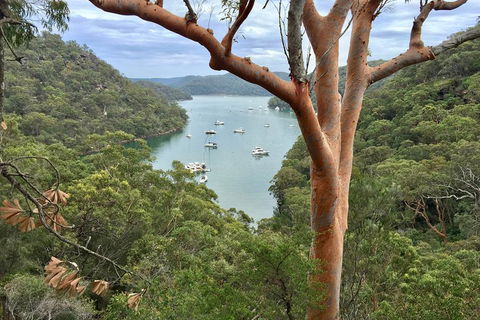 Shore Excursion: Sydney's Northern Beaches & Ku-ring-gai National Park Bus Tour - Accommodation Bookings 1
