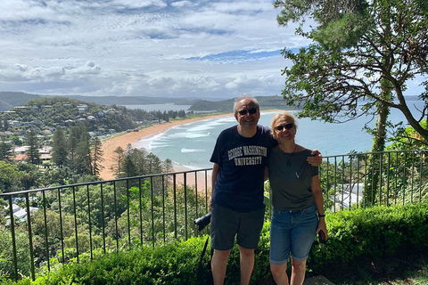Shore Excursion: Sydney's Northern Beaches & Ku-ring-gai National Park Bus Tour - Accommodation Bookings 5