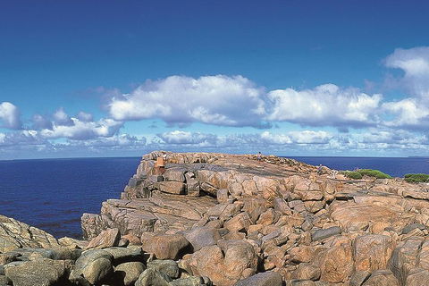 4 Day Tour: Albany, Margaret River, Valley Of The Giants TreeTop Walk From Perth - Accommodation Bookings 0
