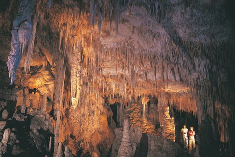 4 Day Tour: Albany, Margaret River, Valley Of The Giants TreeTop Walk From Perth - Accommodation Bookings 1
