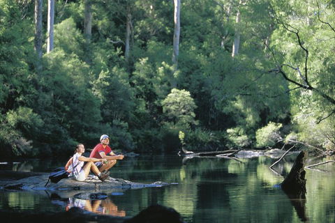 4 Day Tour: Albany, Margaret River, Valley Of The Giants TreeTop Walk From Perth - Accommodation Bookings 3