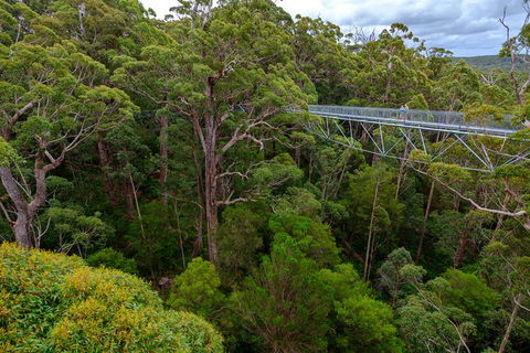4 Day Tour: Albany, Margaret River, Valley Of The Giants TreeTop Walk From Perth - Accommodation Bookings 4