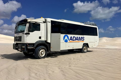 Pinnacles Desert, Koalas And Sandboarding 4WD Day Tour From Perth - Accommodation Bookings 2