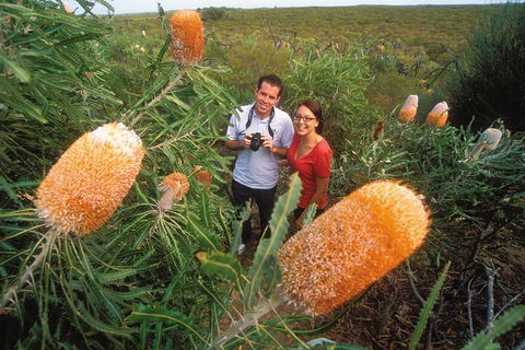 Best Of Perth Wildflower Season Day Trip - Accommodation Bookings 0