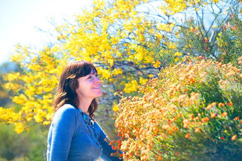 Best Of Perth Wildflower Season Day Trip - Accommodation Bookings 2