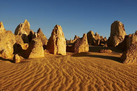 Full Day Pinnacle Desert Explorer From Perth Including Hillarys And Lancelin Sandboarding - Accommodation Bookings 3