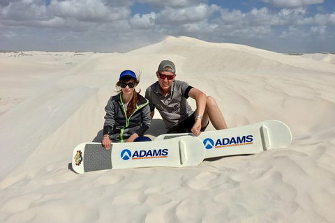 Full Day Pinnacle Desert Explorer From Perth Including Hillarys And Lancelin Sandboarding - Accommodation Bookings 4