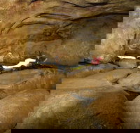 2-Day Wave Rock York Wildflowers  Aboriginal Experience - Accommodation Bookings