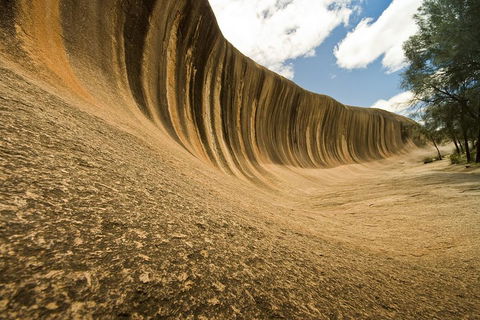 2-Day Wave Rock, York, Wildflowers & Aboriginal Experience - Accommodation Bookings 1