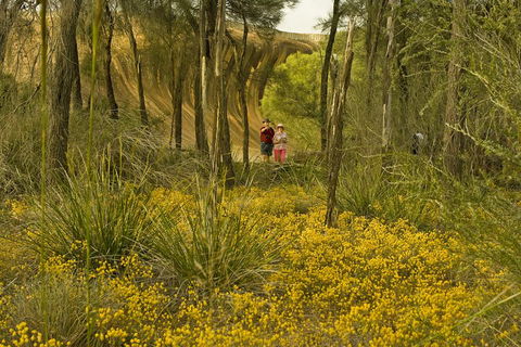 2-Day Wave Rock, York, Wildflowers & Aboriginal Experience - Accommodation Bookings 2