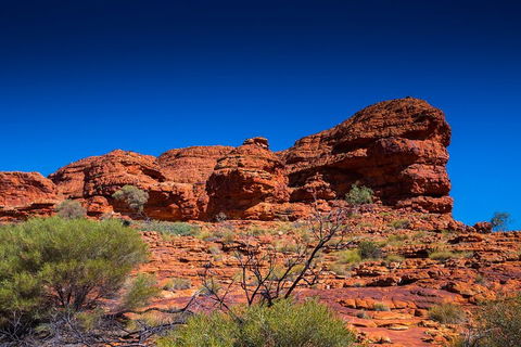7-Day Guided Tour Of Alice Springs With Accommodation Included - Accommodation Bookings 4