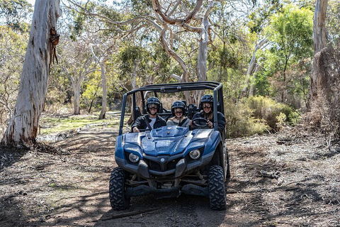 Small-Group Buggy Tour At Little Sahara With Guide - Accommodation Bookings 0