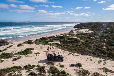 Small-Group Buggy Tour At Little Sahara With Guide - Accommodation Bookings 1