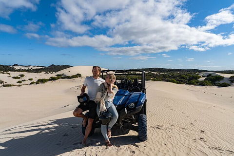 Small-Group Buggy Tour At Little Sahara With Guide - Accommodation Bookings 2